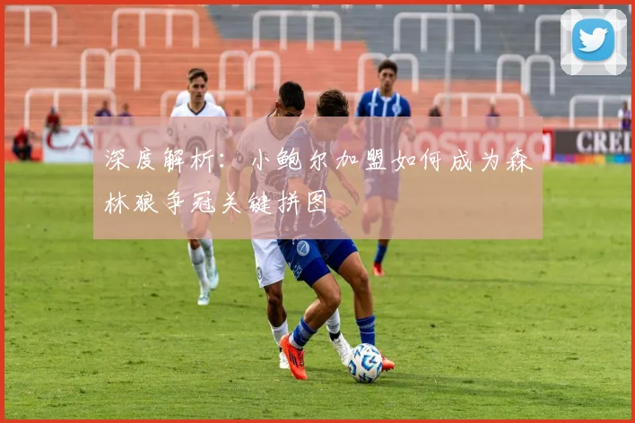 深度解析：小鲍尔加盟如何成为森林狼争冠关键拼图