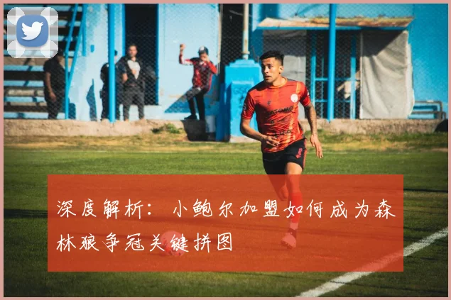 深度解析:小鲍尔加盟如何成为森林狼争冠关键拼图
